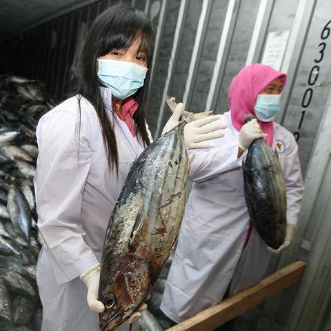 黄大仙精准资料大全9426|定性解答解释落实_双语集.6.46