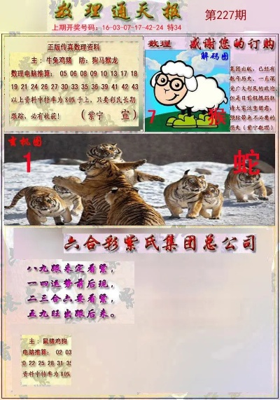 新澳六开彩开奖号码今天|智能解答解释落实_探险版.1.27