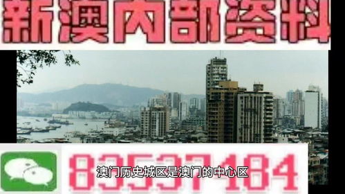 澳门正版精准四不像凤凰网|探索新机遇的未来之路_快捷制.1.543